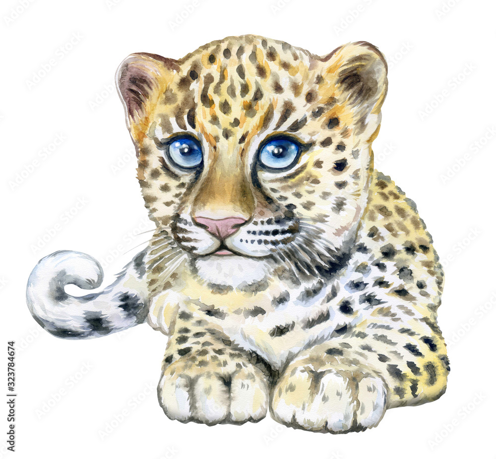 Little leopard cub with blue eyes. Portrait of a child, a baby isolated on a white background. Watercolor. Illustration. Template. Hand drawing. for nursery posters Little leopard cub with blue eyes. Portrait of a child, a baby isolated on a white background. Watercolor. Illustration. Template. Hand drawing. for nursery posters