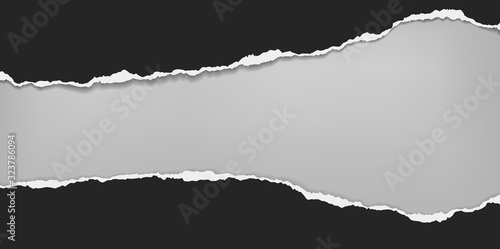 Pieces of torn, ripped black horizontal paper with soft shadow is on grey background for text. Vector illustration
