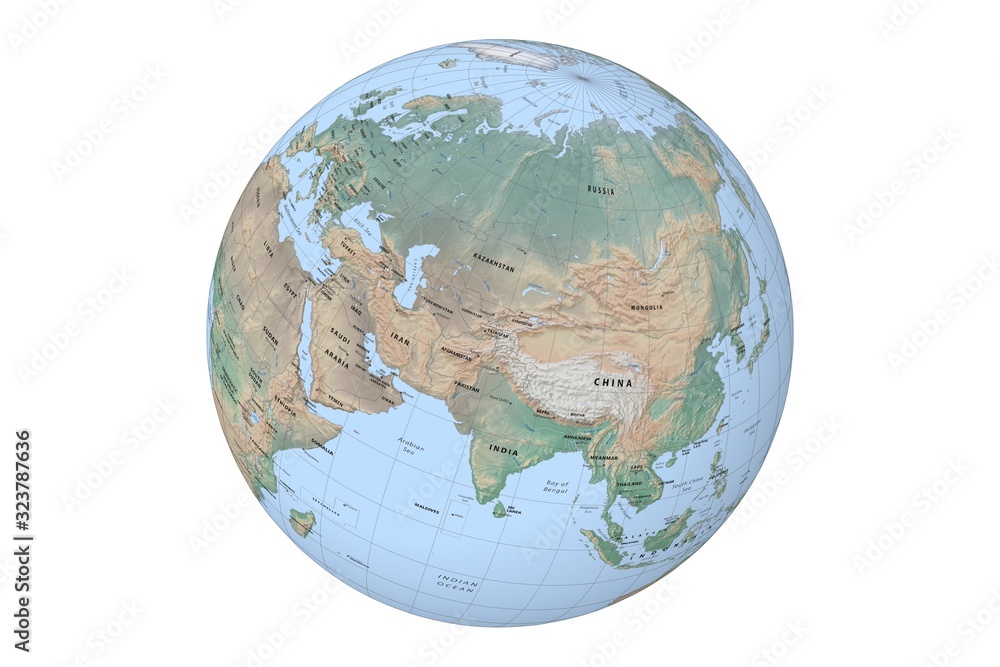 globe with cartographic grid and terrain relief on white background