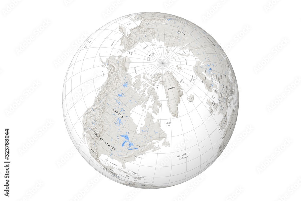 globe with cartographic grid and terrain relief on white background globe with cartographic grid and terrain relief on white background