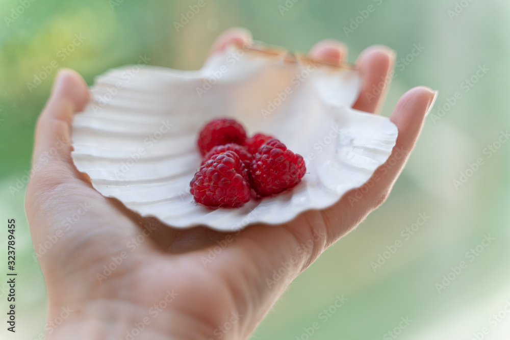hand holding handful of raspberries lies in a mother of pearl plate in the form of a shell hand holding handful of raspberries lies in a mother of pearl plate in the form of a shell