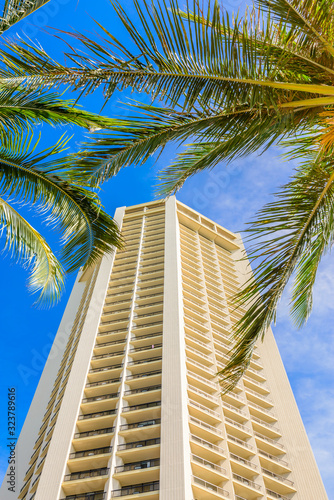 Palm tree tops against apartment or hotel building and blue sky. Vacation tropical background. © karamysh
