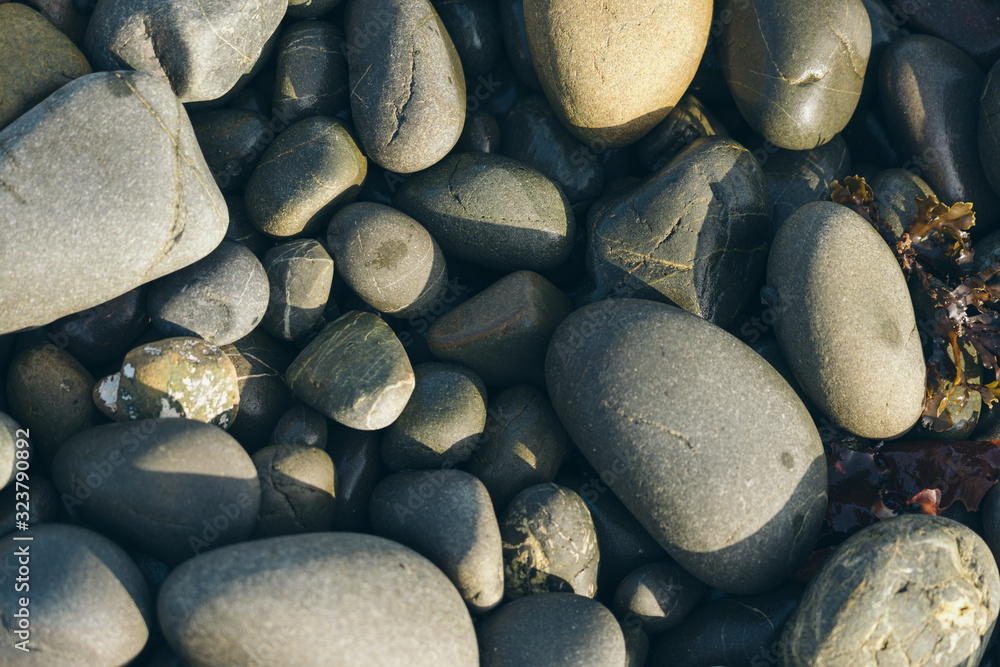 Smooth Round Pebble; Natura Background. Textures Smooth Round Pebble; Natura Background. Textures