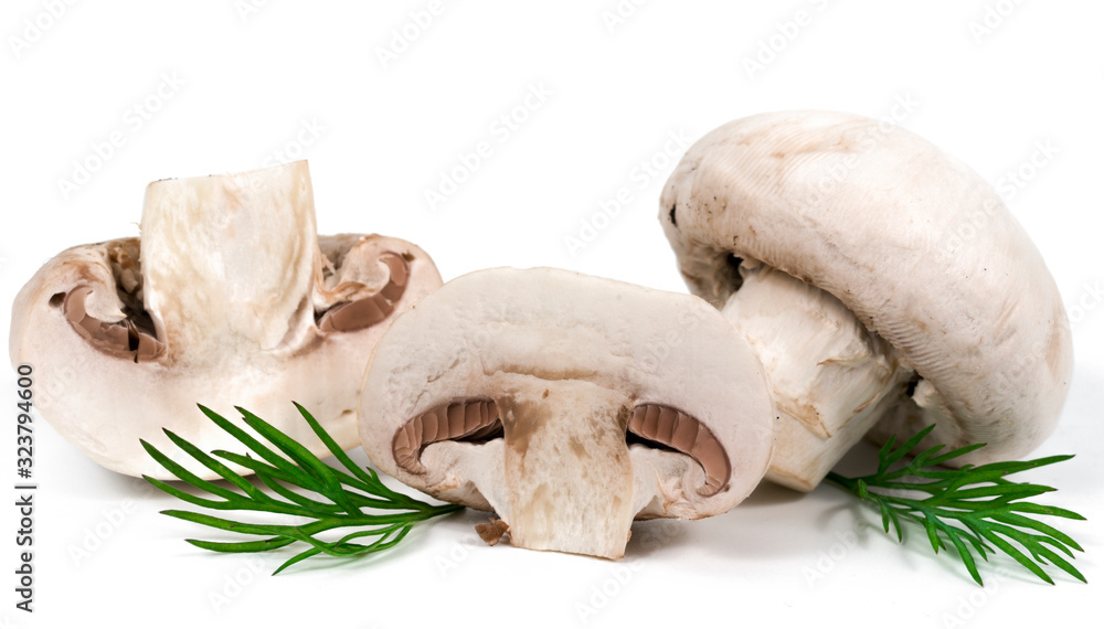 Fresh mushrooms and green parsley leaves isolated on white background Fresh mushrooms and green parsley leaves isolated on white background
