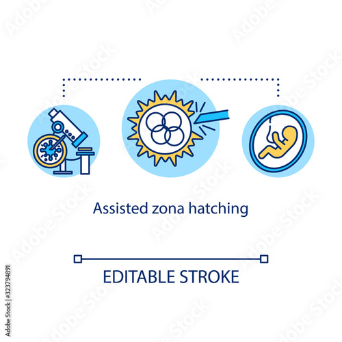 Assisted zona hatching concept icon. Fetus development. In vitro reproduction. Alternative pregnancy idea thin line illustration. Vector isolated outline RGB color drawing. Editable stroke