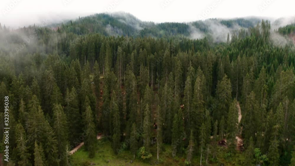 Panoramic aerial view over the tops of pine or fir forest with small clouds and lake Carezza. Flying over misty foggy mountain landscape. Panoramic aerial view over the tops of pine or fir forest with small clouds and lake Carezza. Flying over misty foggy mountain landscape.