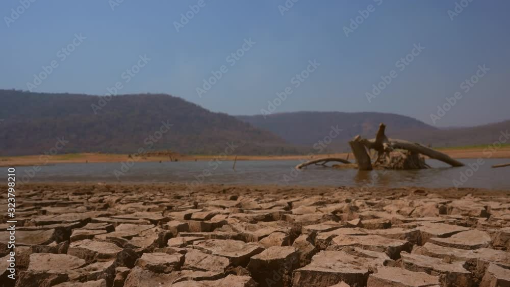 Skull animals on cracked ground in nature, hills or mountain and lake ...