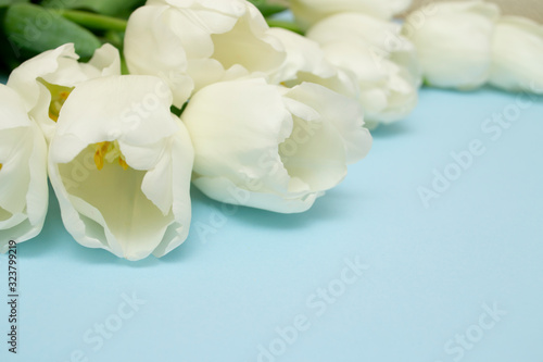 A magnificent bouquet of tulips on a pastel blue background with copy space. Layout for a banner. A gift for your beloved woman. Valentine's Day, Women's Day, Mother's Day.