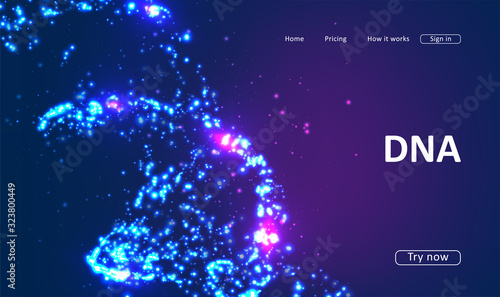 Landing page for a website