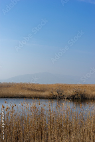 Marjal dels Moros with background Sierra Calderona © Eloy