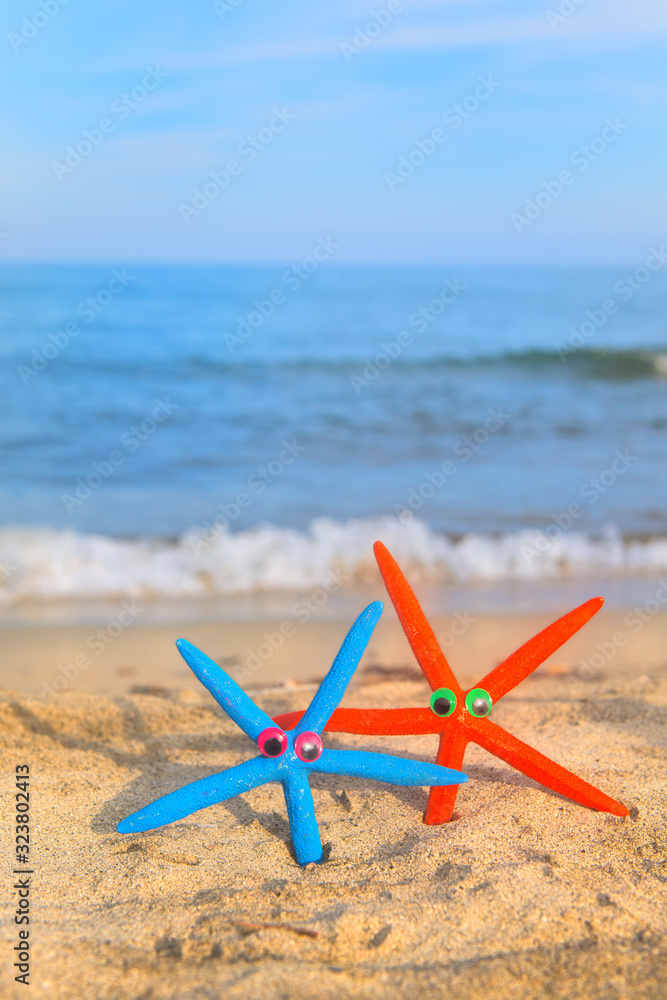 Funny starfishes at the beach