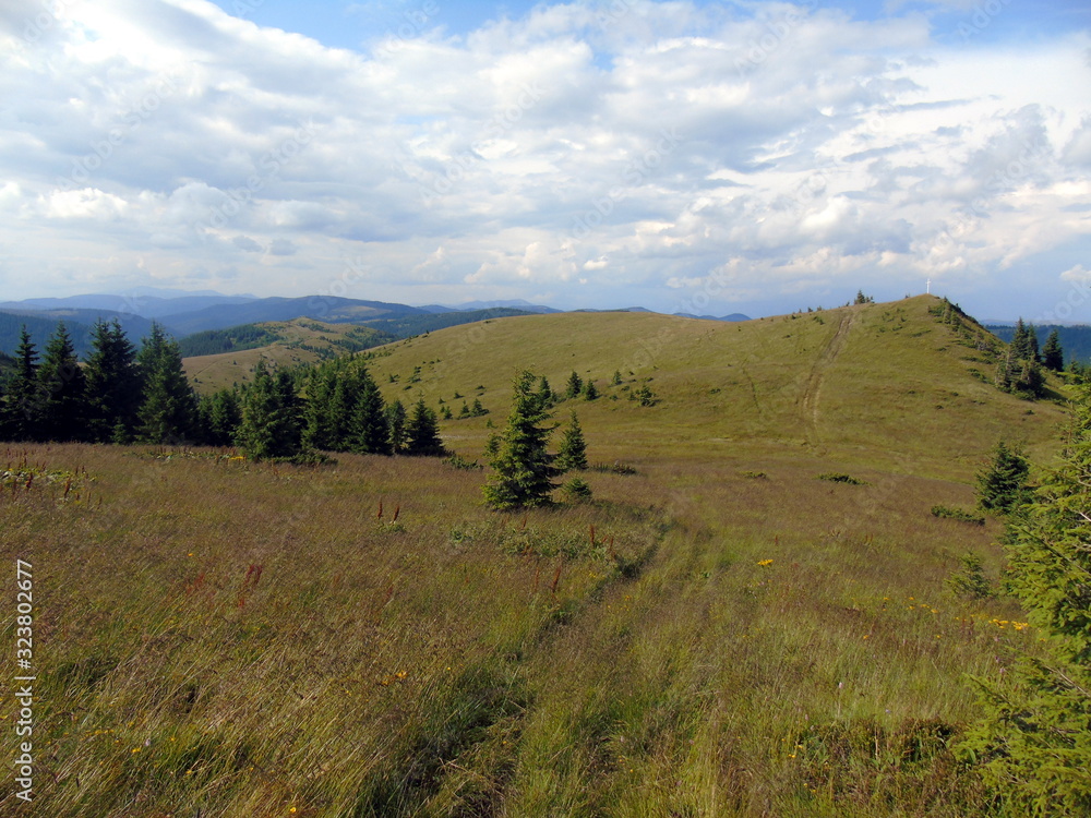 The best alpine meadows