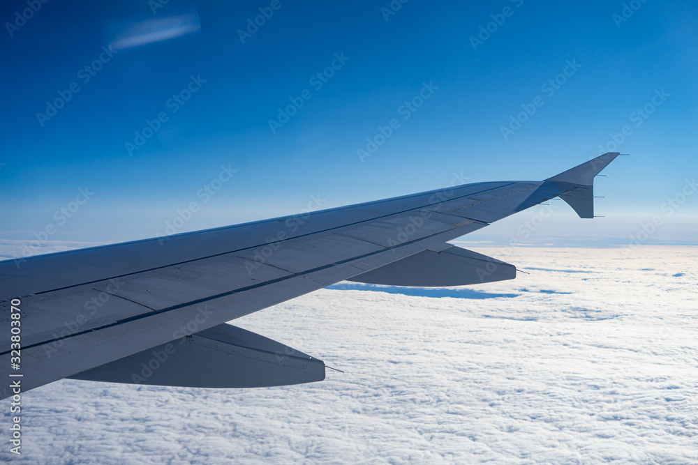 Obraz premium flight above the sky wing view