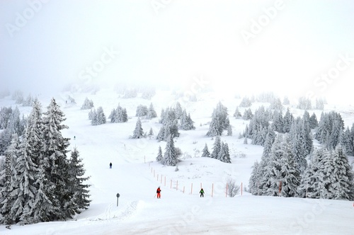 people on the ski slope photo