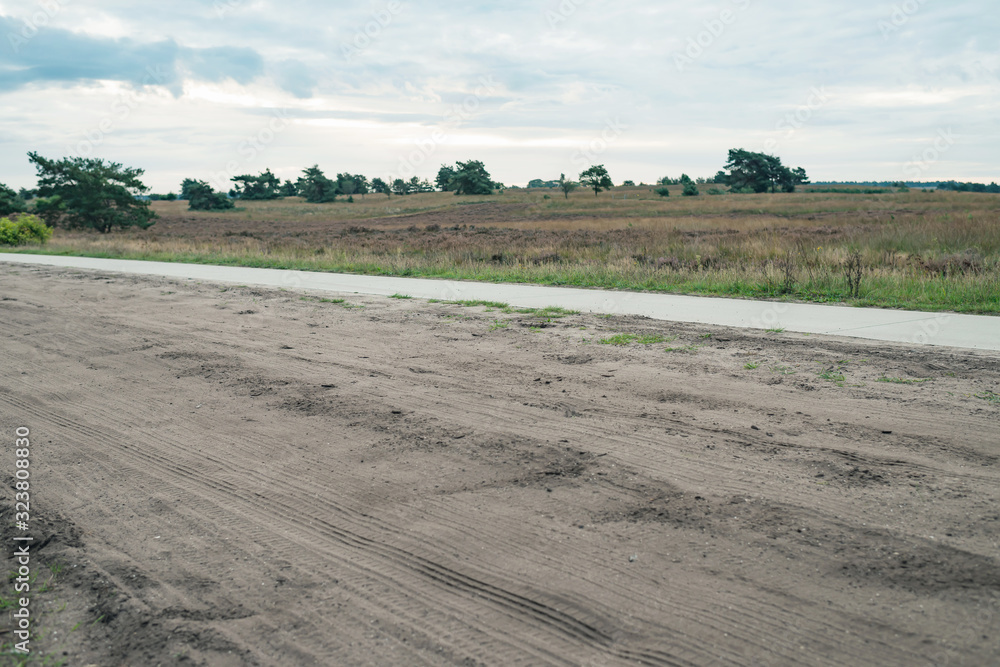 Obraz premium Dirt road in hilly grassland with pine trees under cloudy sky.