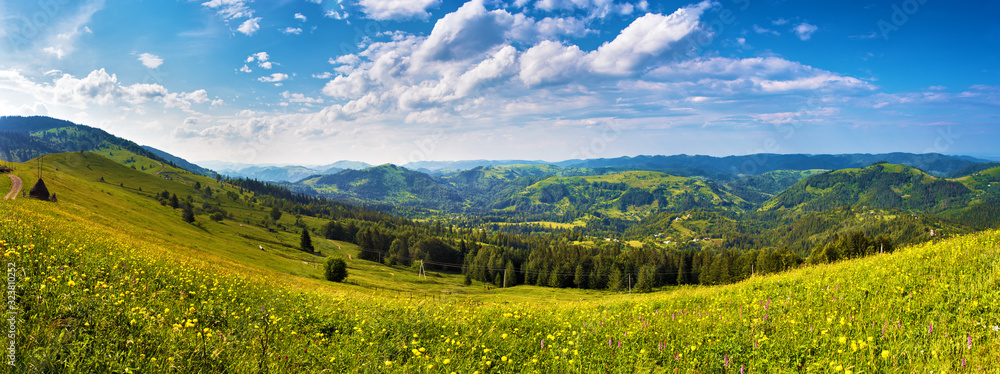 Sunny day panorama of mountain meadow
