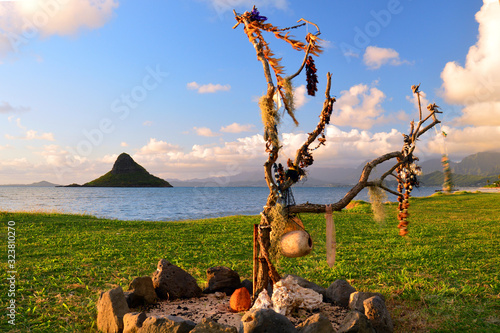 Εκτύπωση καμβά In accordance with Hawaiian Tradition, lies are hung on branches so that they ma