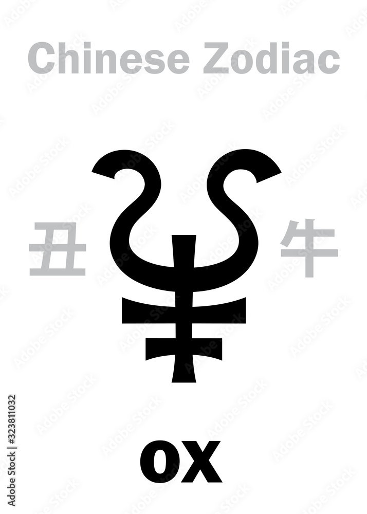 Obraz premium Astrology Alphabet: OX / COW, BULL [牛] sign of Chinese Zodiac (The 