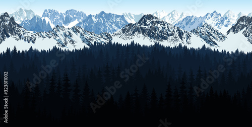 vector seamless Rocky Mountain National Park with woodland background illustration