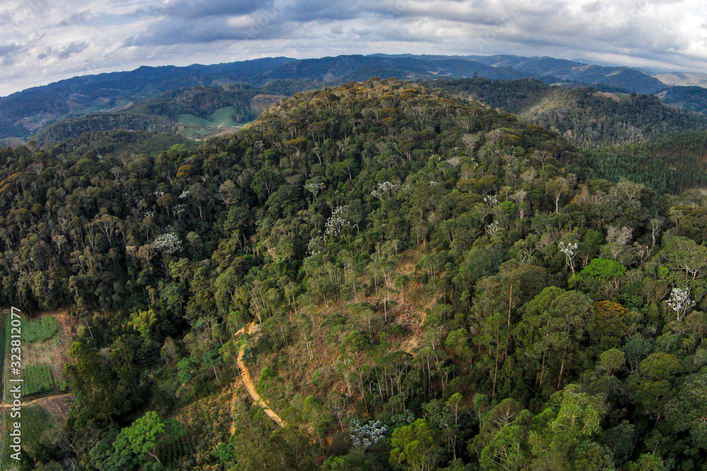 Aerial Santa Maria de Jetiba photographed in Santa Maria de Jetiba, Espirito Santo. Southeast of Brazil. Atlantic Forest Biome. Recorded in 2016.