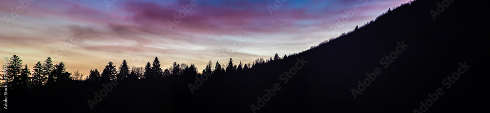 Silhouettes of trees against the sunset sky