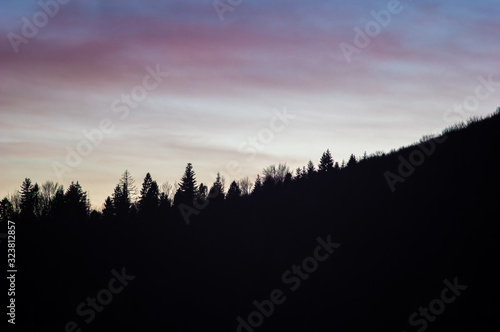 Fototapeta Naklejka Na Ścianę i Meble -  Silhouettes of trees against the sunset sky