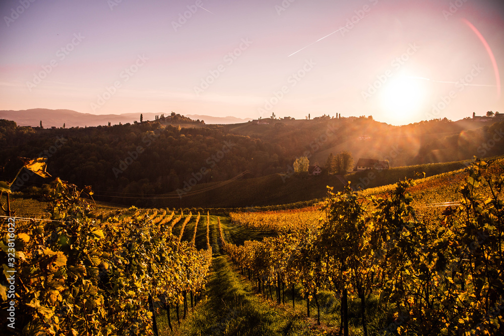 Sonnenuntergang Weinberge