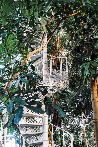 White vintage spiral staircase greenhouse with tropical plants photo