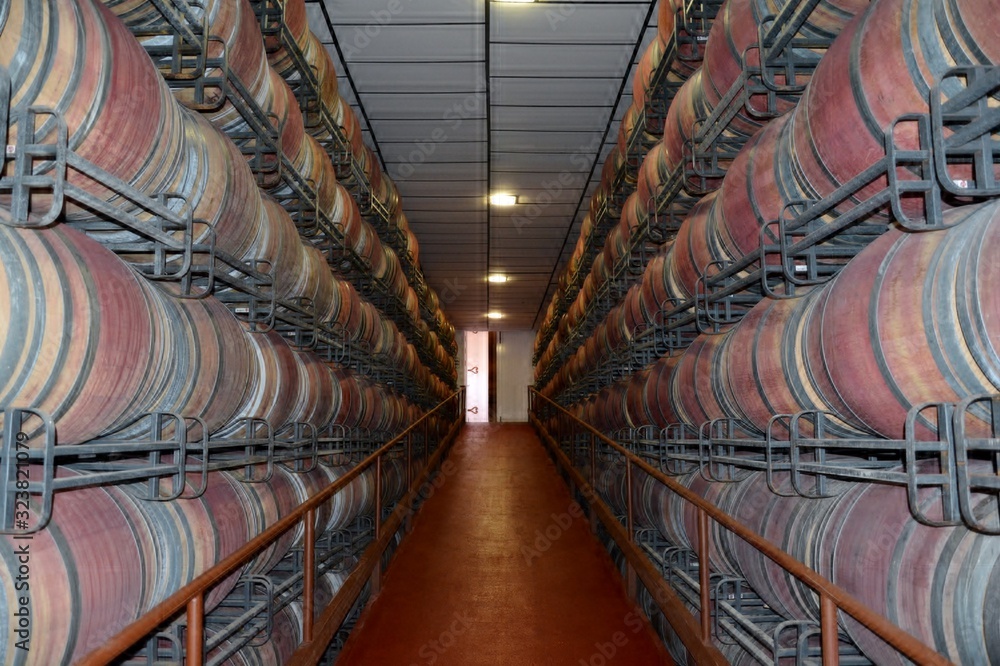 wine cellar and barrels in a row