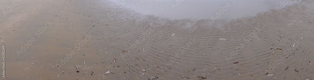 the transition from the sea to the land. Panoramic photo, sea floor with prints of small waves at low tide, in the left wet sand beach the transition from the sea to the land. Panoramic photo, sea floor with prints of small waves at low tide, in the left wet sand beach