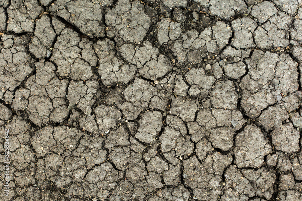 The ground is cracked because of global warming The ground is cracked because of global warming