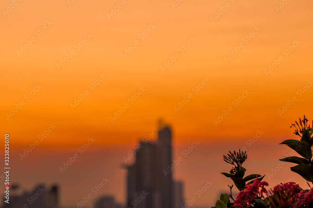 blurred floral background that is planted on the rooftop garden, the condo allows the residents to relax during the day or decorate for beauty