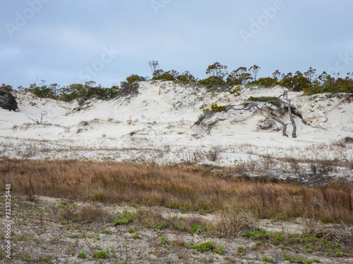 sand dunes