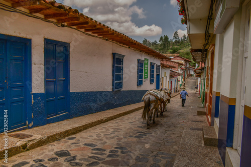 Obraz na plátne Caminos de mi pueblo