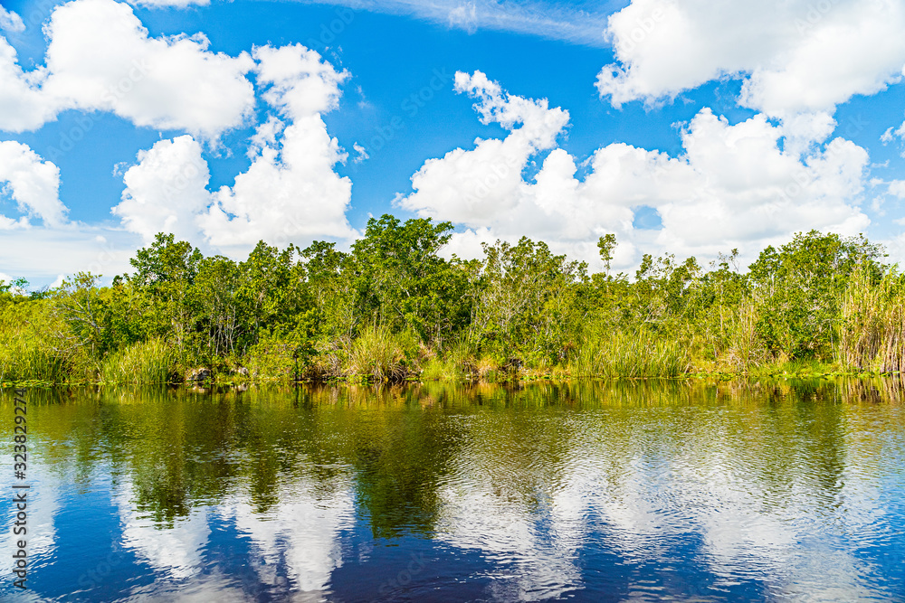 Obraz premium Everglades wetland in Florida, Everglades and Francis S. Taylor Wildlife Management Area