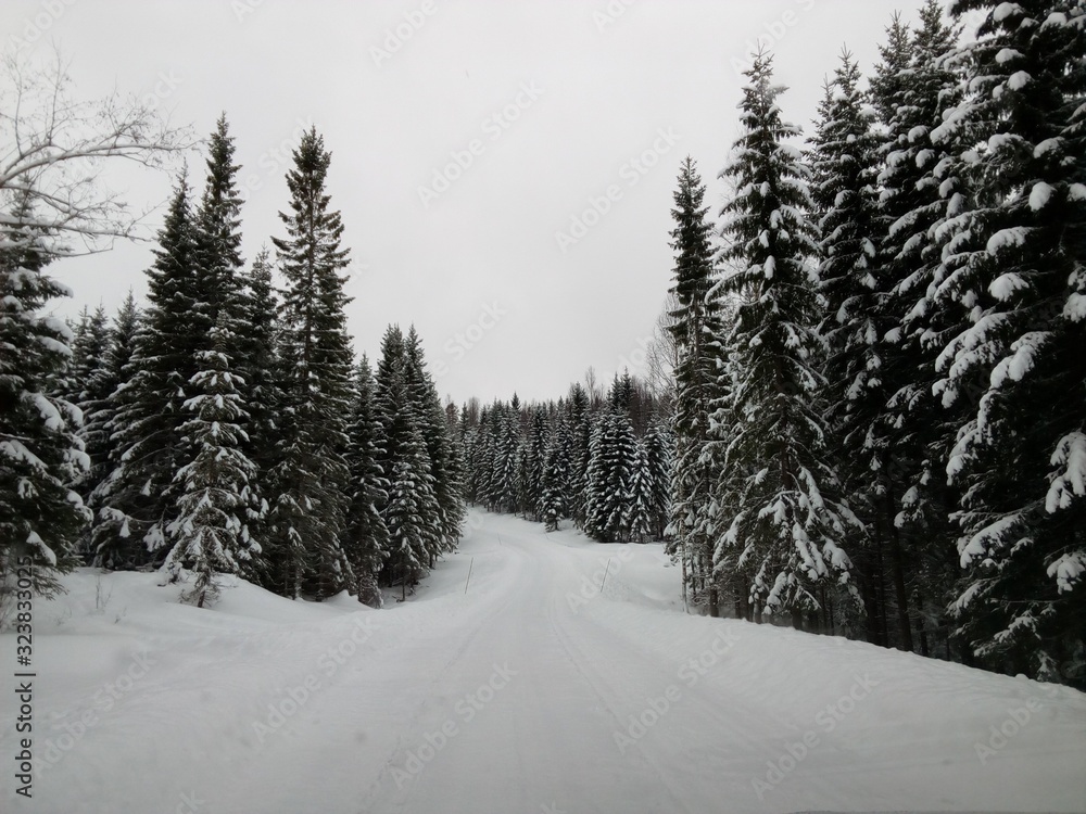 Obraz premium Winter road