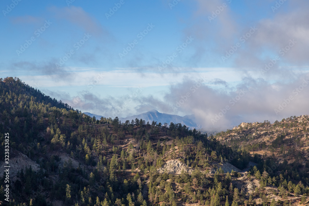 Mountain forest under clouds in Angeles National Forest, California