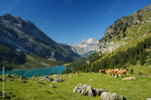 Wallpaper Mural Öschinen Lake in Kandersteg Torontodigital.ca
