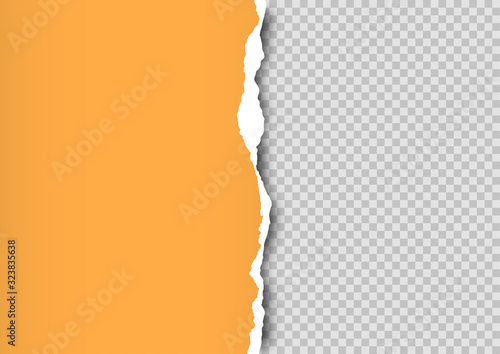 Torn paper on transparent background with space for text. Vector illustration.	