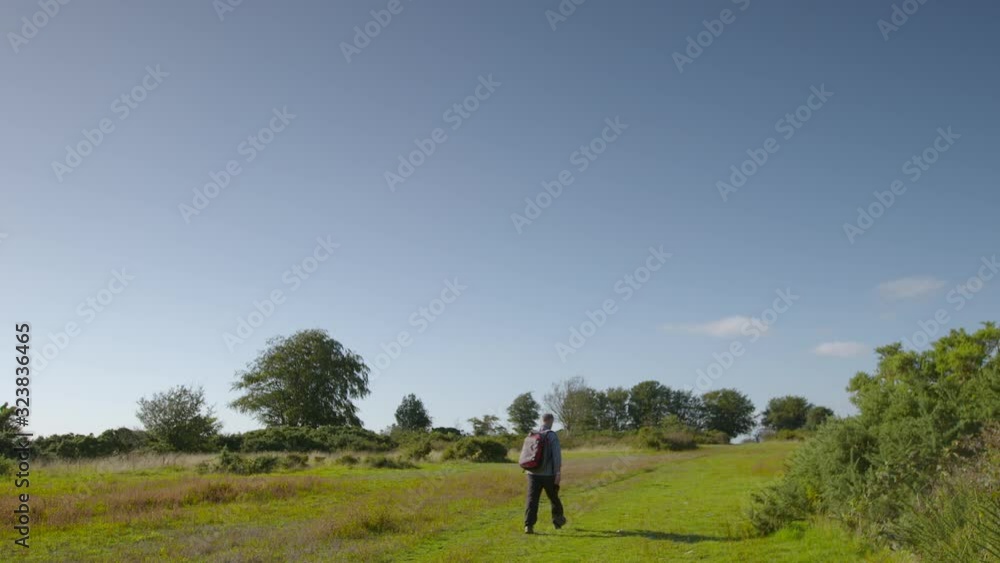A daylight wide shot of a traveller carrying a backpack walking vigorously in the middle of a lush green field lined with foliage and trees. A daylight wide shot of a traveller carrying a backpack walking vigorously in the middle of a lush green field lined with foliage and trees.