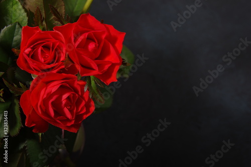 Bouquet red roses flower in glass vase on dark background