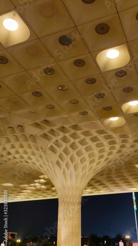 the tree from where humans fly