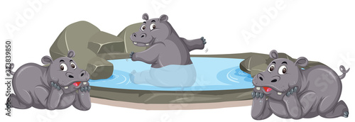 Three hippos enjoying themselves in the pond