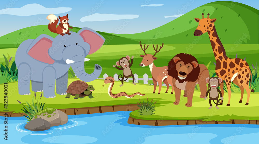 Scene with many animals standing by the river Scene with many animals standing by the river