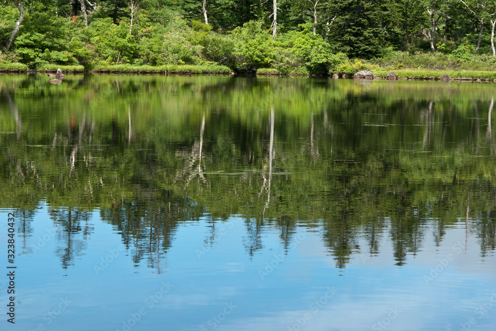 Obraz premium 水鏡沼と森の散策路 神仙沼