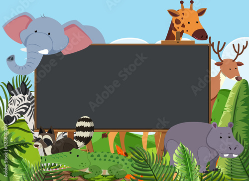 Blackboard template design with many wild animals in the field