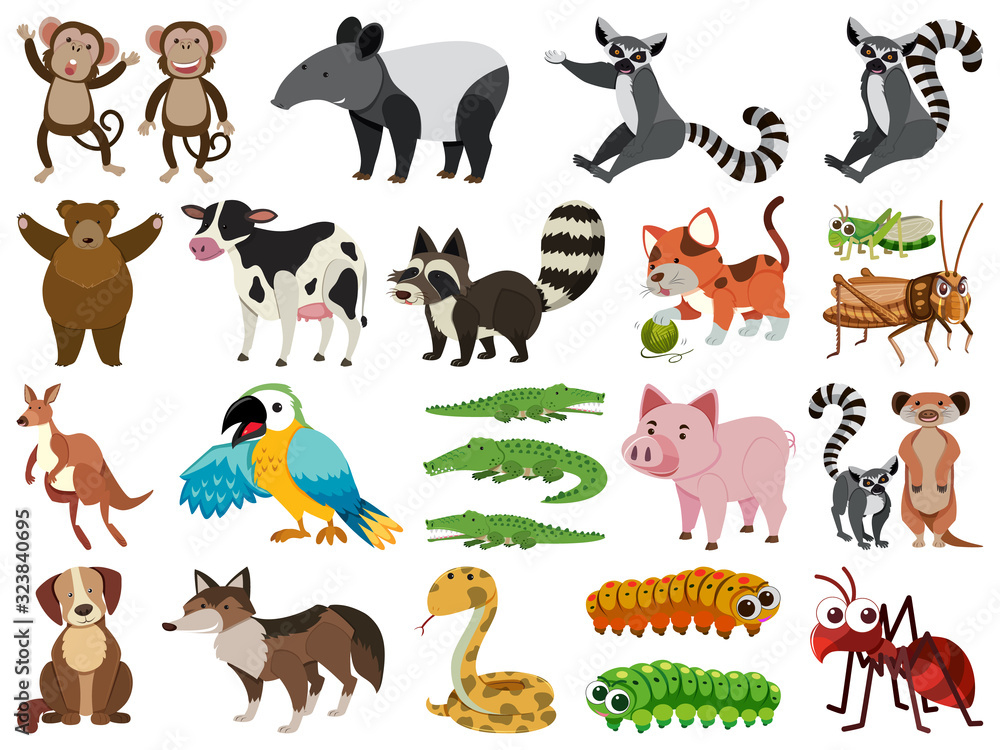 Fototapeta premium Set of isolated objects theme animals