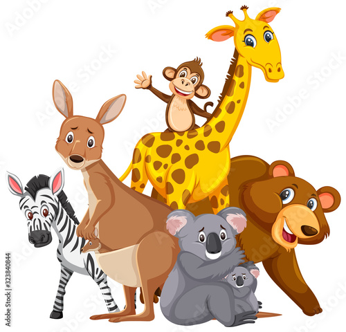 Different types of wild animals on white background