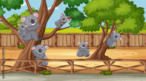 Scene with wild animals in the zoo at day time