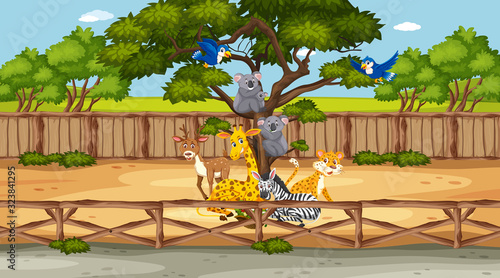 Scene with wild animals in the zoo at day time
